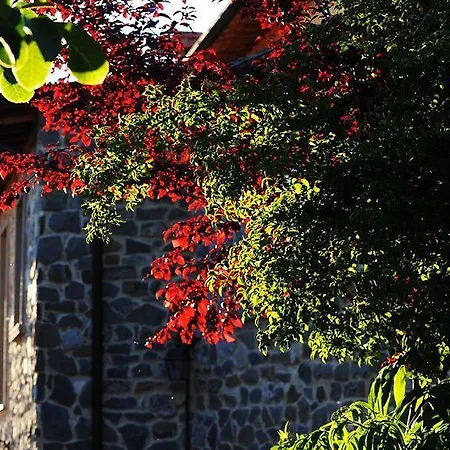 Borgo I Tre Baroni Moggiona